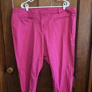 Lane Bryant Pink Crop